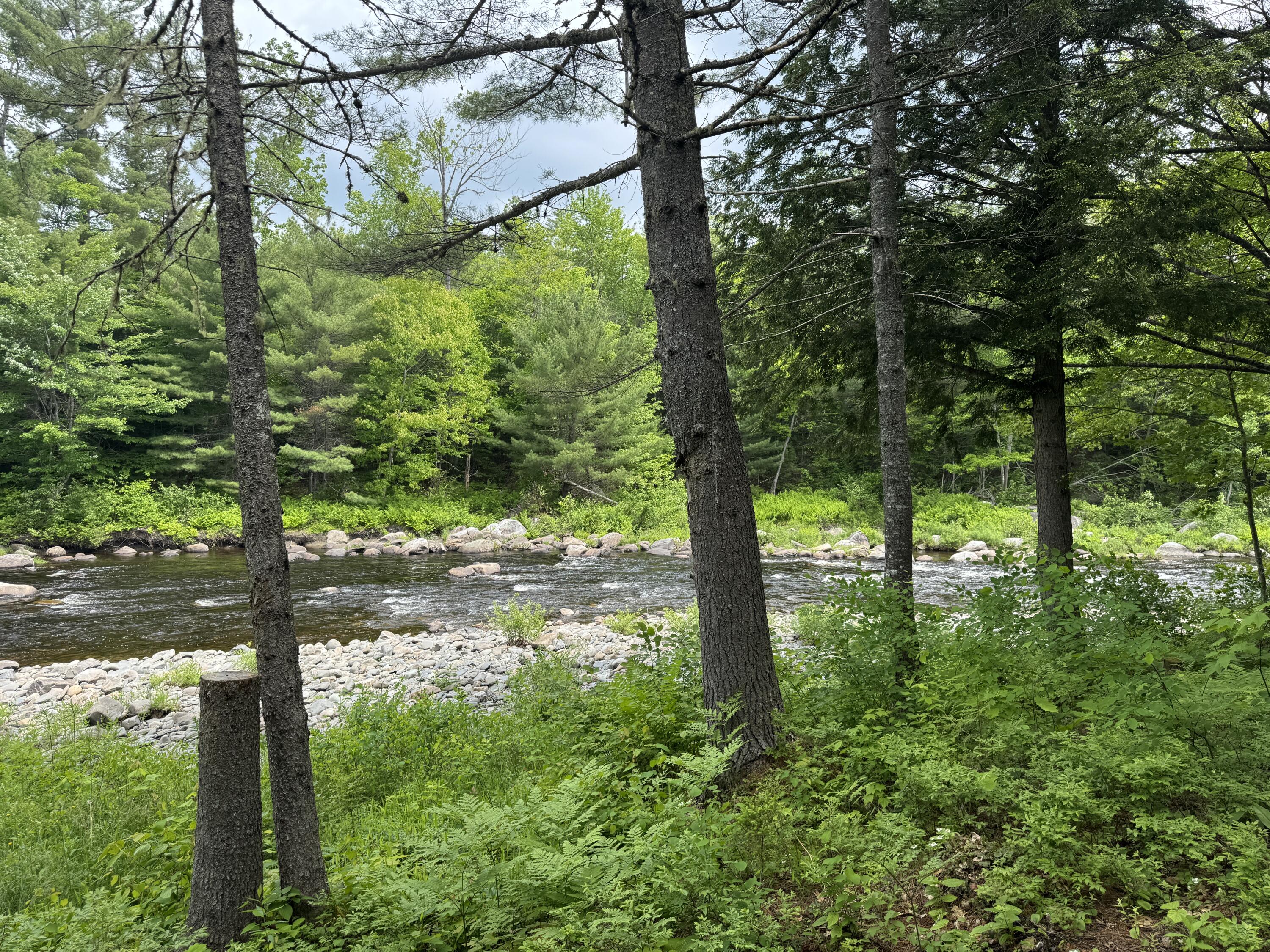 6 Maple Drive Abbot ME 04406