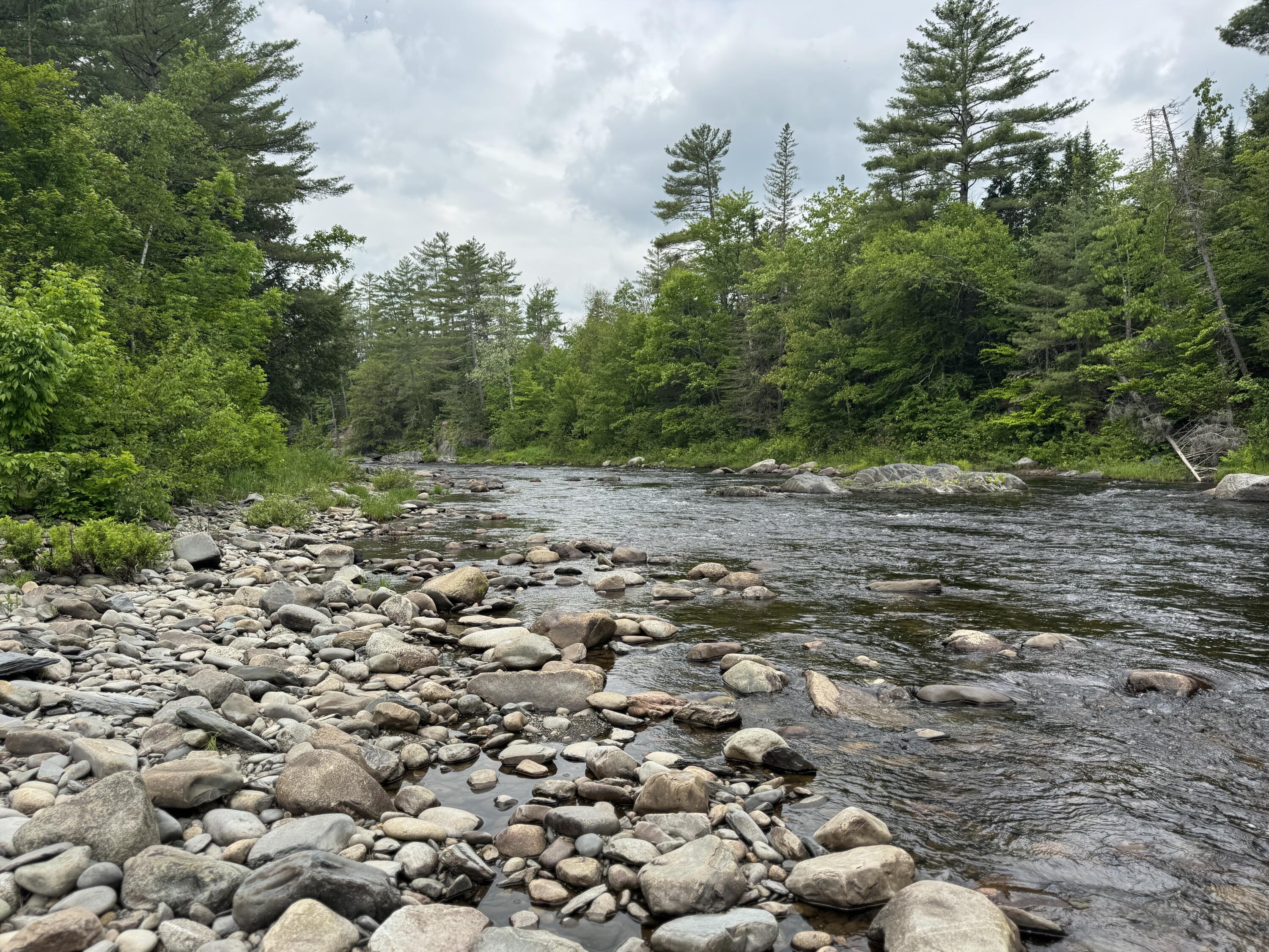 6 Maple Drive Abbot ME 04406