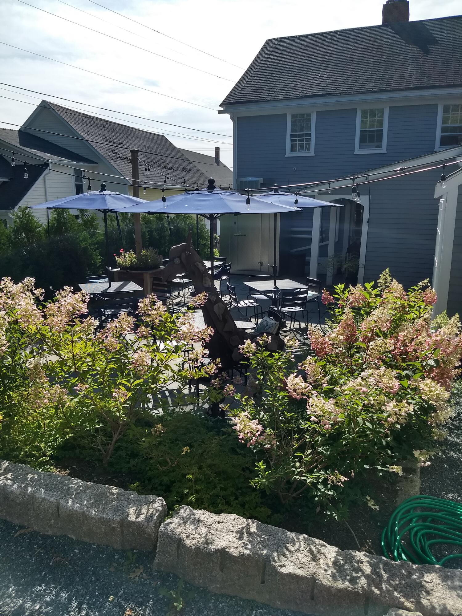 40 Main Street Blue Hill ME 04614