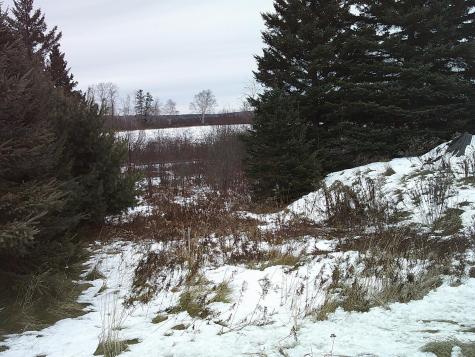 866 Main Street Grand Isle ME 04746