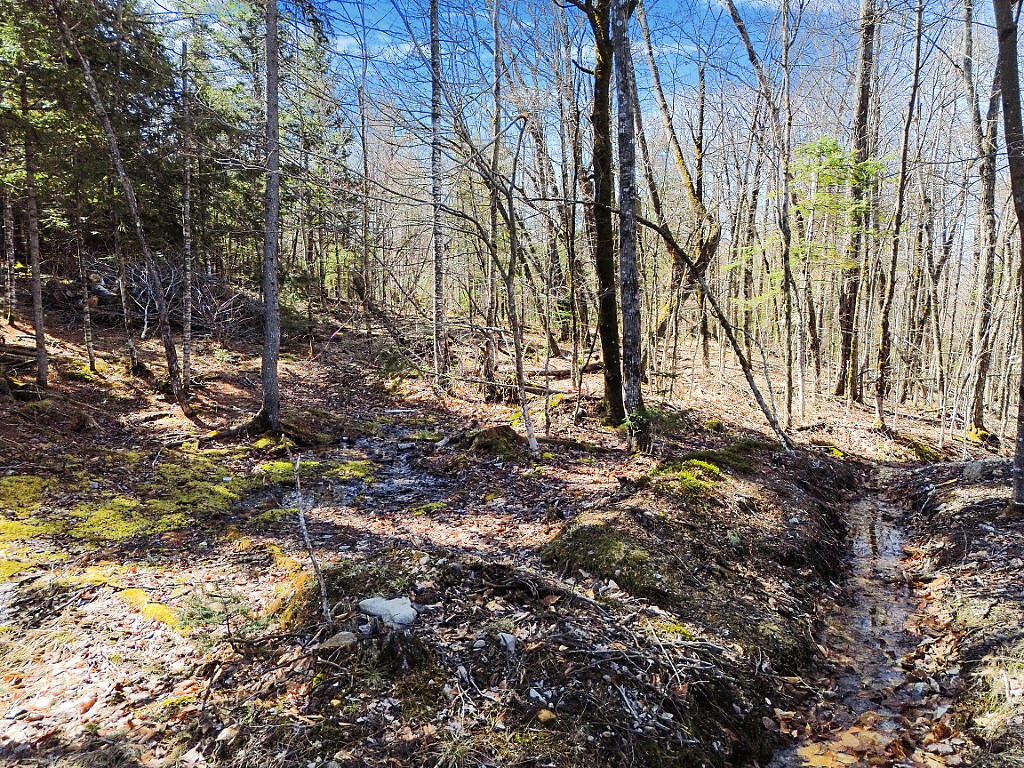 611 N Blanchard Shirley Road Blanchard Twp ME 04406