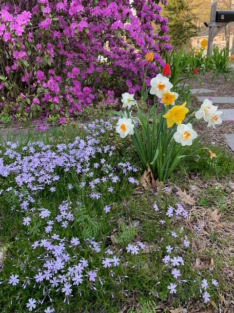 65 Ocean House Road Cape Elizabeth ME 04107