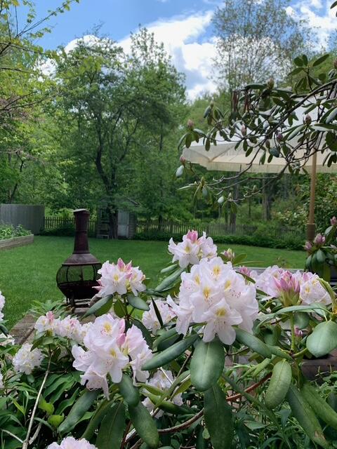 65 Ocean House Road Cape Elizabeth ME 04107