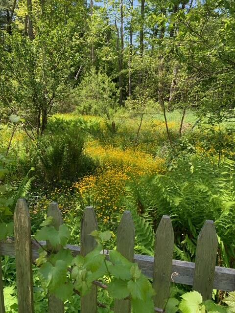 65 Ocean House Road Cape Elizabeth ME 04107