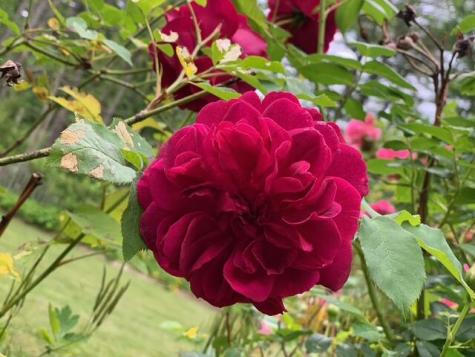 65 Ocean House Road Cape Elizabeth ME 04107