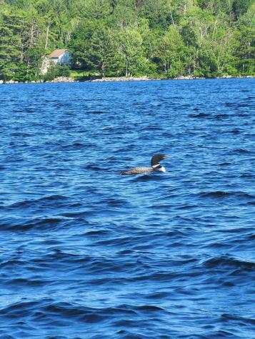 191 Lake Ridge Road Mount Vernon ME 04352