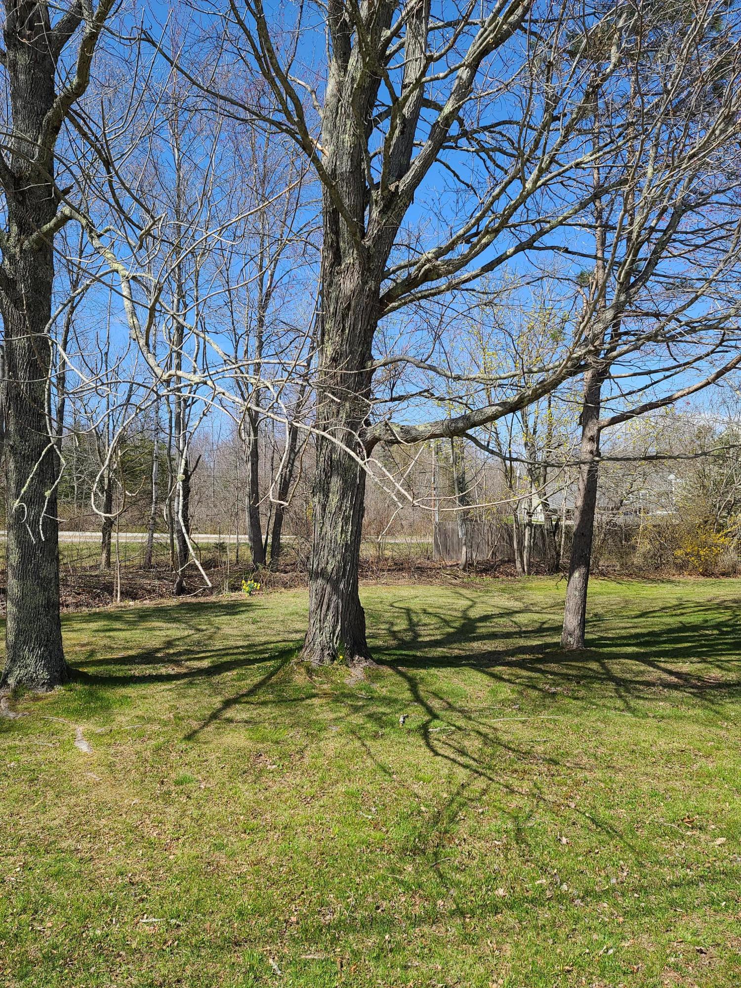 4 Bayview Street Searsport ME 04974