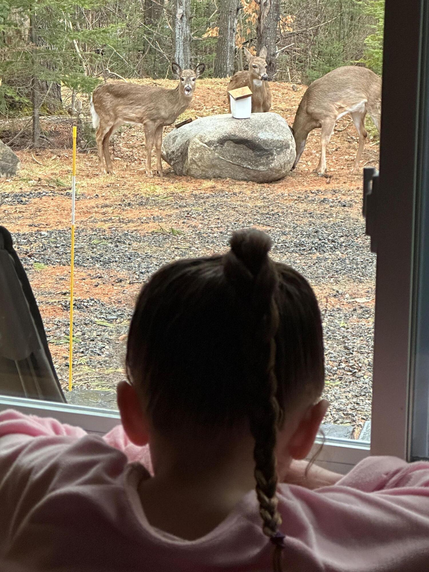 340 Barnard Road Barnard Twp ME 04414