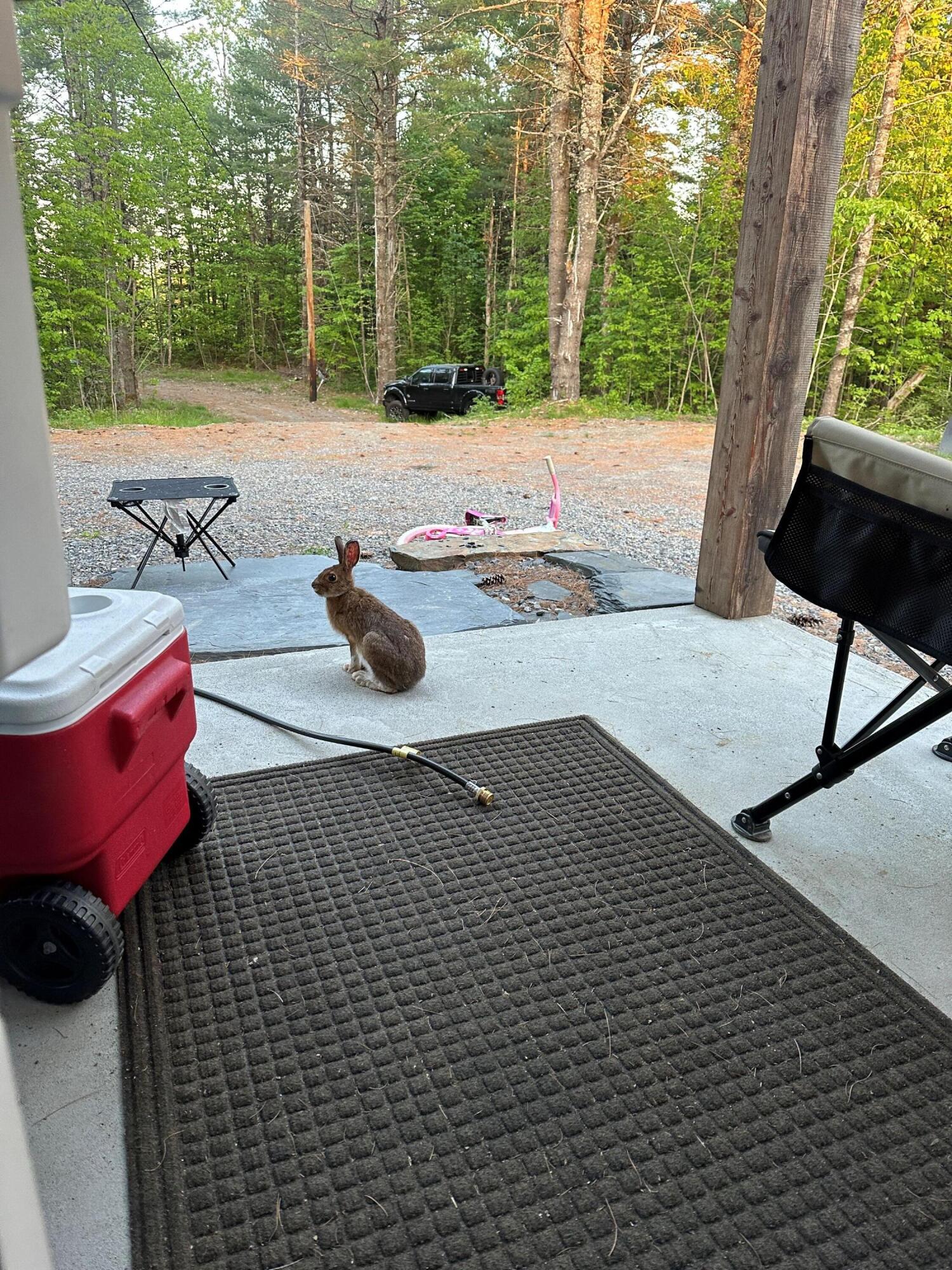 340 Barnard Road Barnard Twp ME 04414