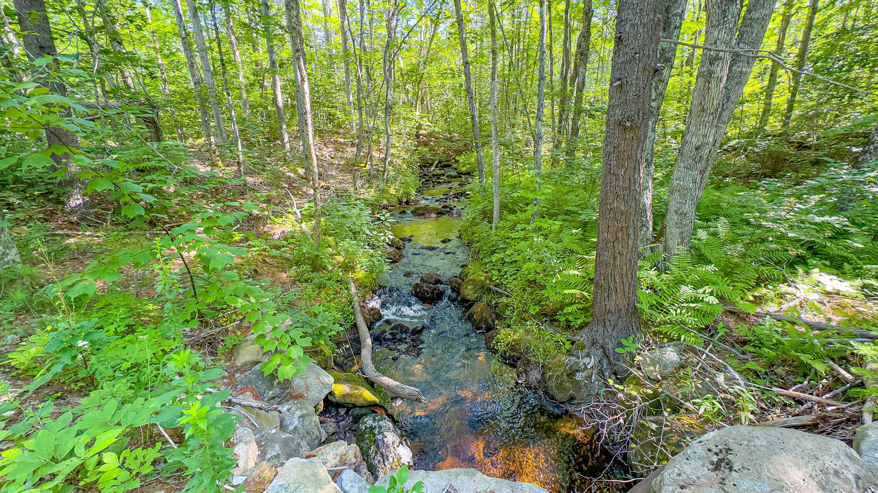 21 Bradley Pond Road Lovell ME 04051