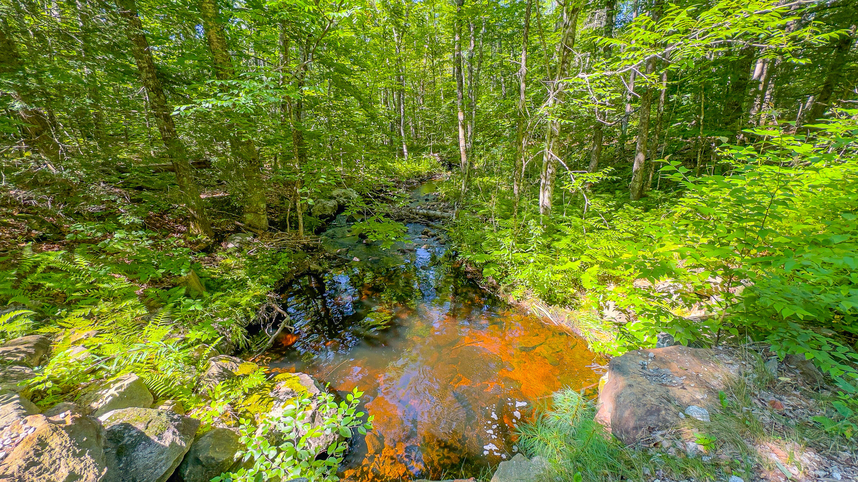 21 Bradley Pond Road Lovell ME 04051