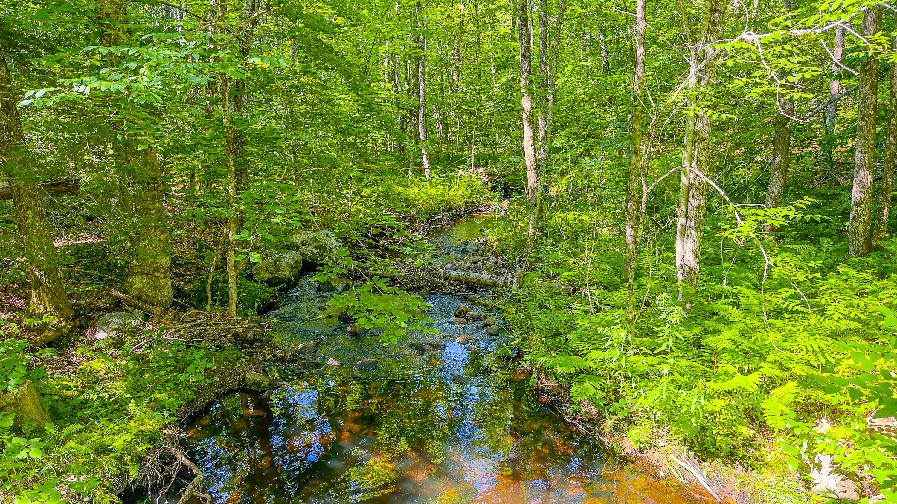 21 Bradley Pond Road Lovell ME 04051