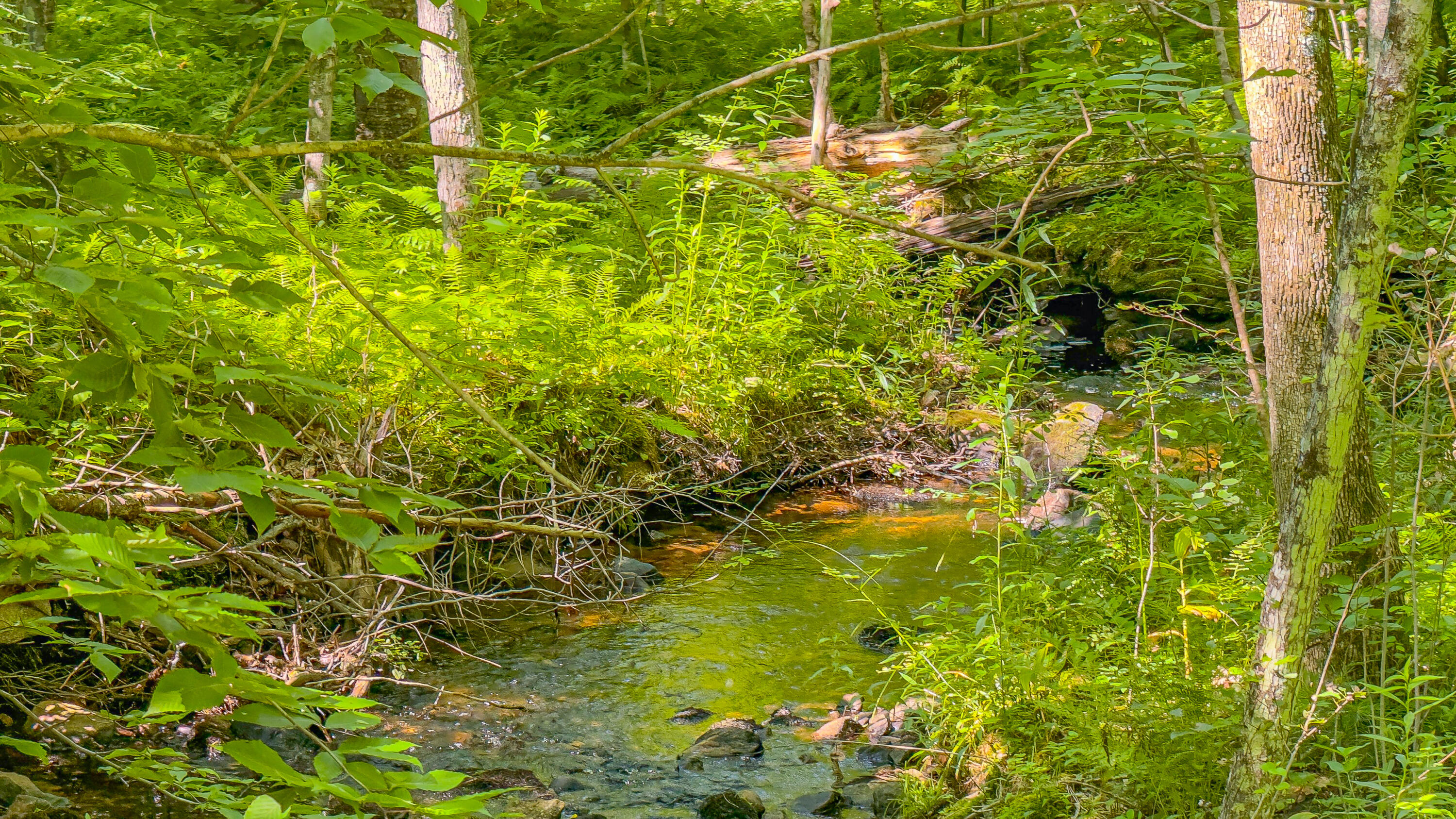 21 Bradley Pond Road Lovell ME 04051