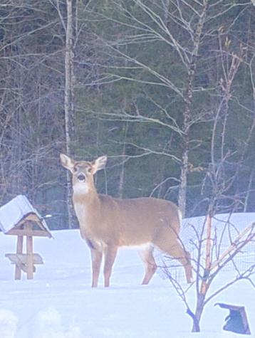 459 Adams Road Chesterville ME 04938