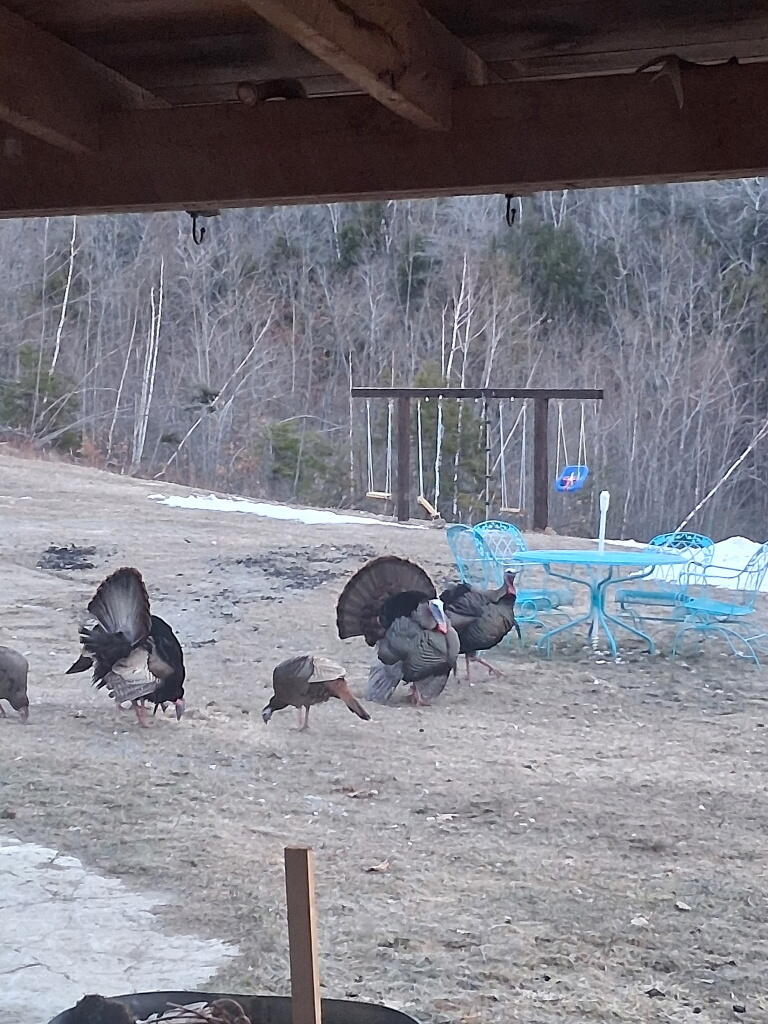 459 Adams Road Chesterville ME 04938