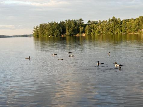 74 Maple Ridge Drive Monmouth ME 04259