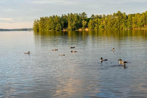 74 Maple Ridge Drive Monmouth ME 04259