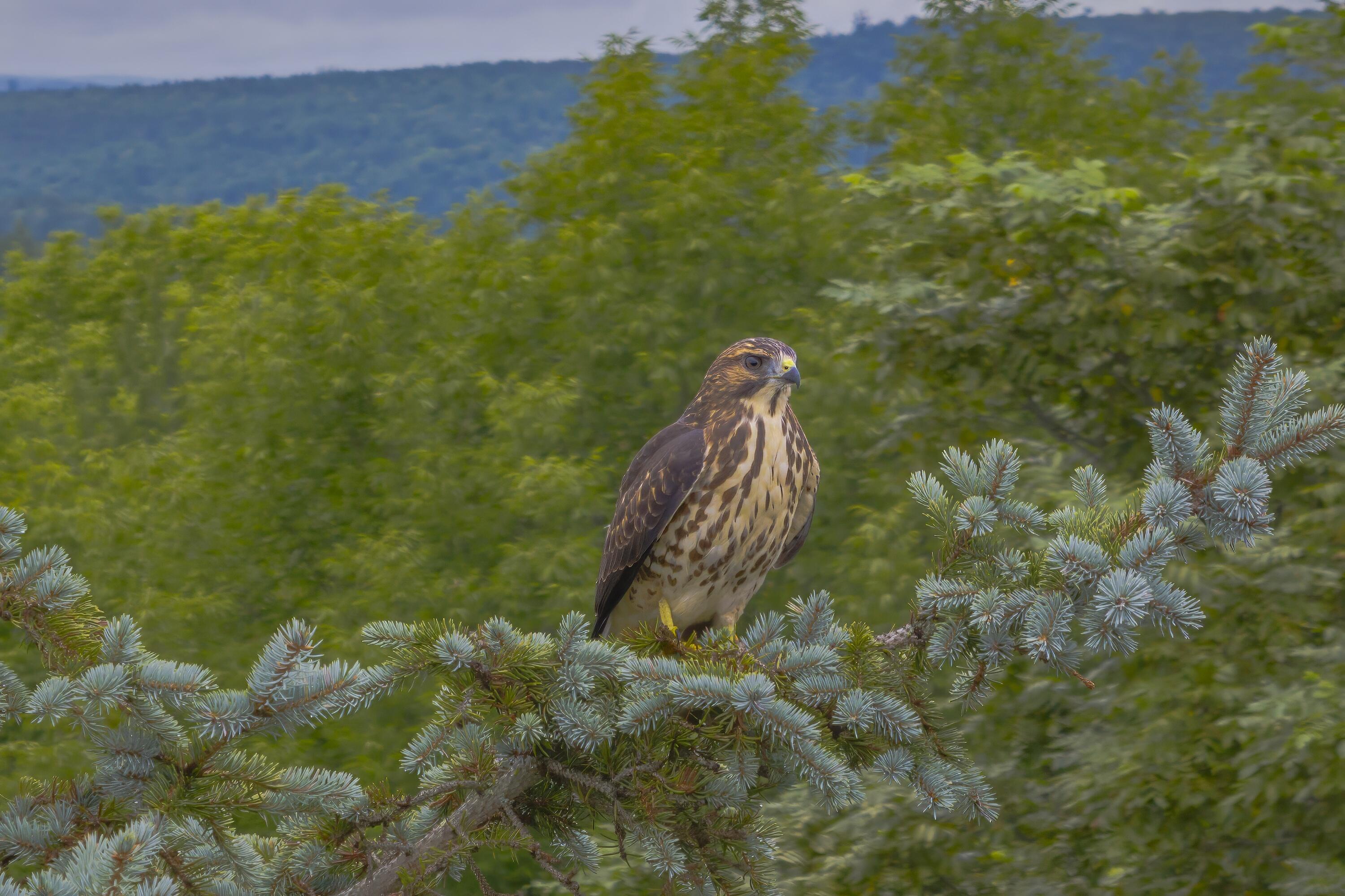 5 Labelle Road Ellsworth ME 04605