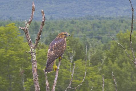 5 Labelle Road Ellsworth ME 04605