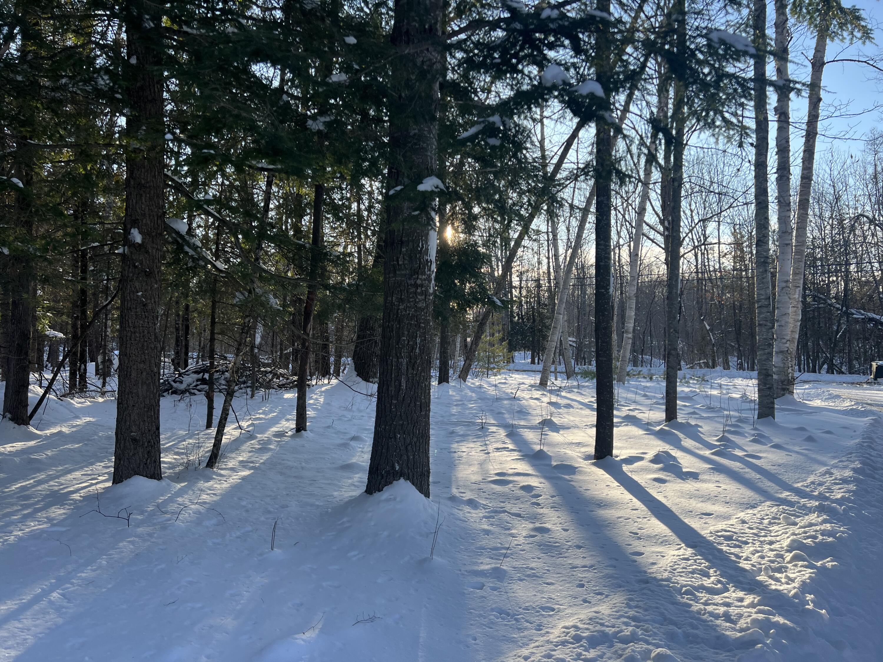 728 Black Road Kenduskeag ME 04450