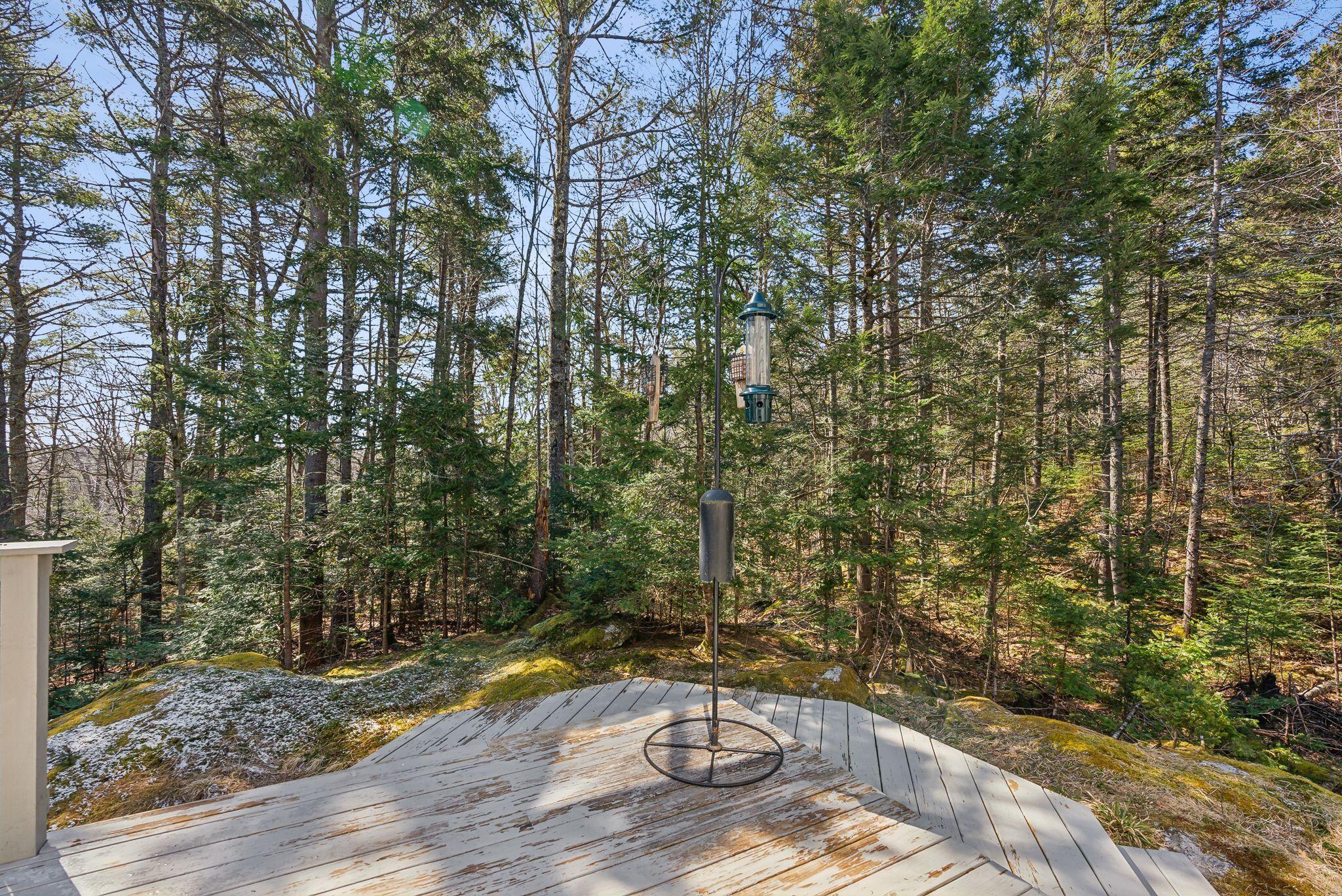 6 Scotch Pine Drive Freeport ME 04032