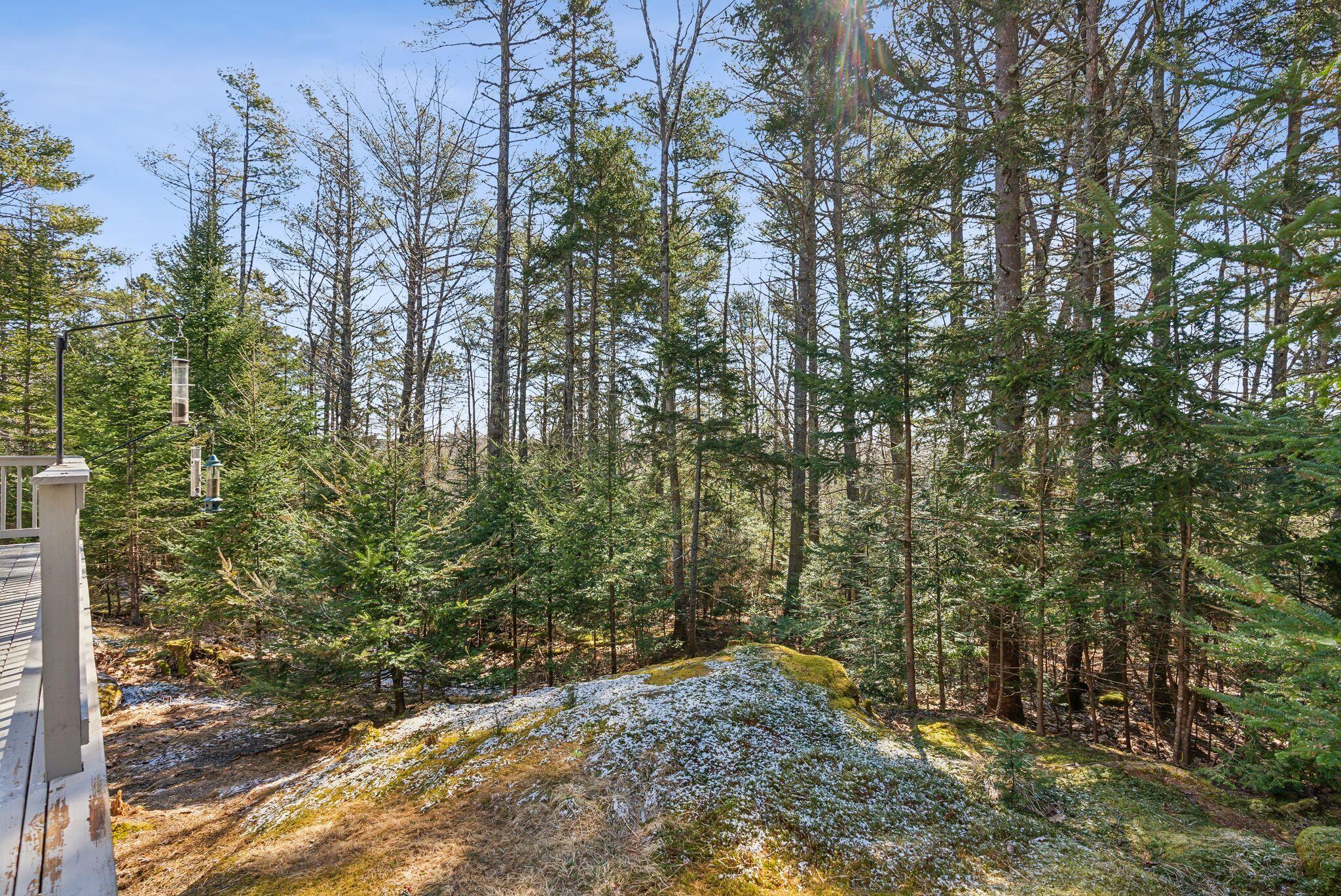 6 Scotch Pine Drive Freeport ME 04032