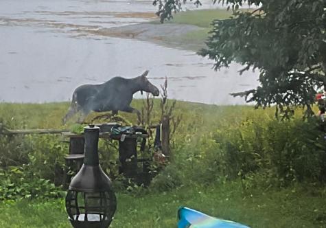 175 Nash Lane Addison ME 04606