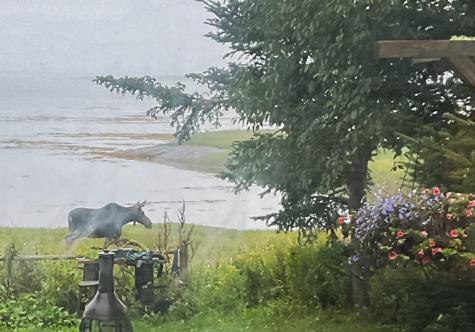 175 Nash Lane Addison ME 04606