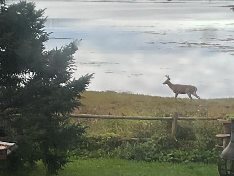 175 Nash Lane Addison ME 04606