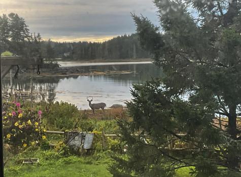 175 Nash Lane Addison ME 04606