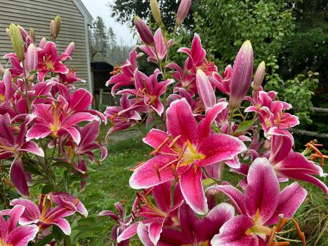 175 Nash Lane Addison ME 04606