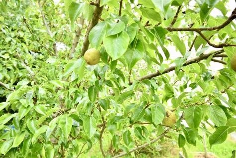 175 Nash Lane Addison ME 04606