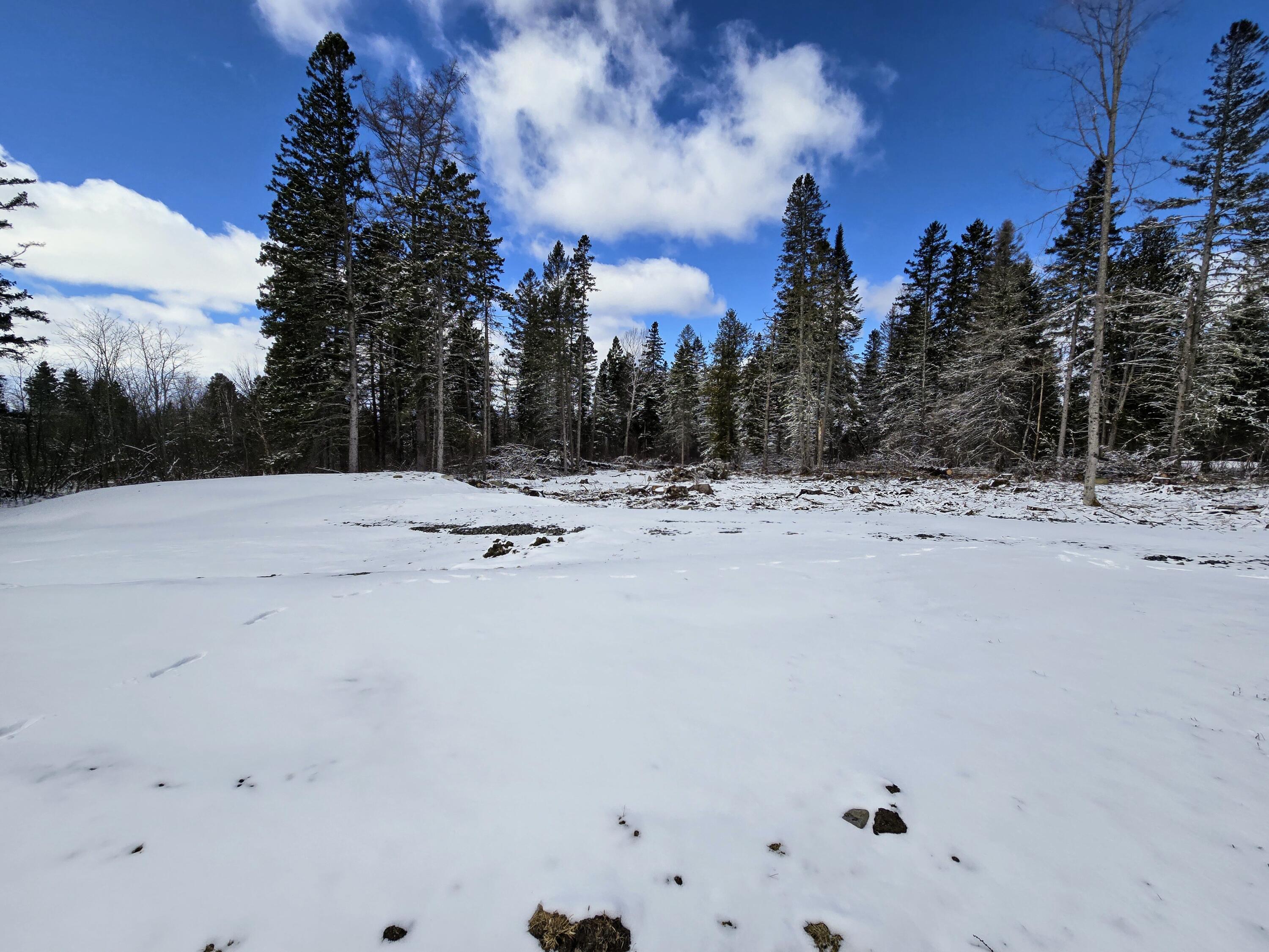 32 Nichols Road Dallas Plt ME 04970