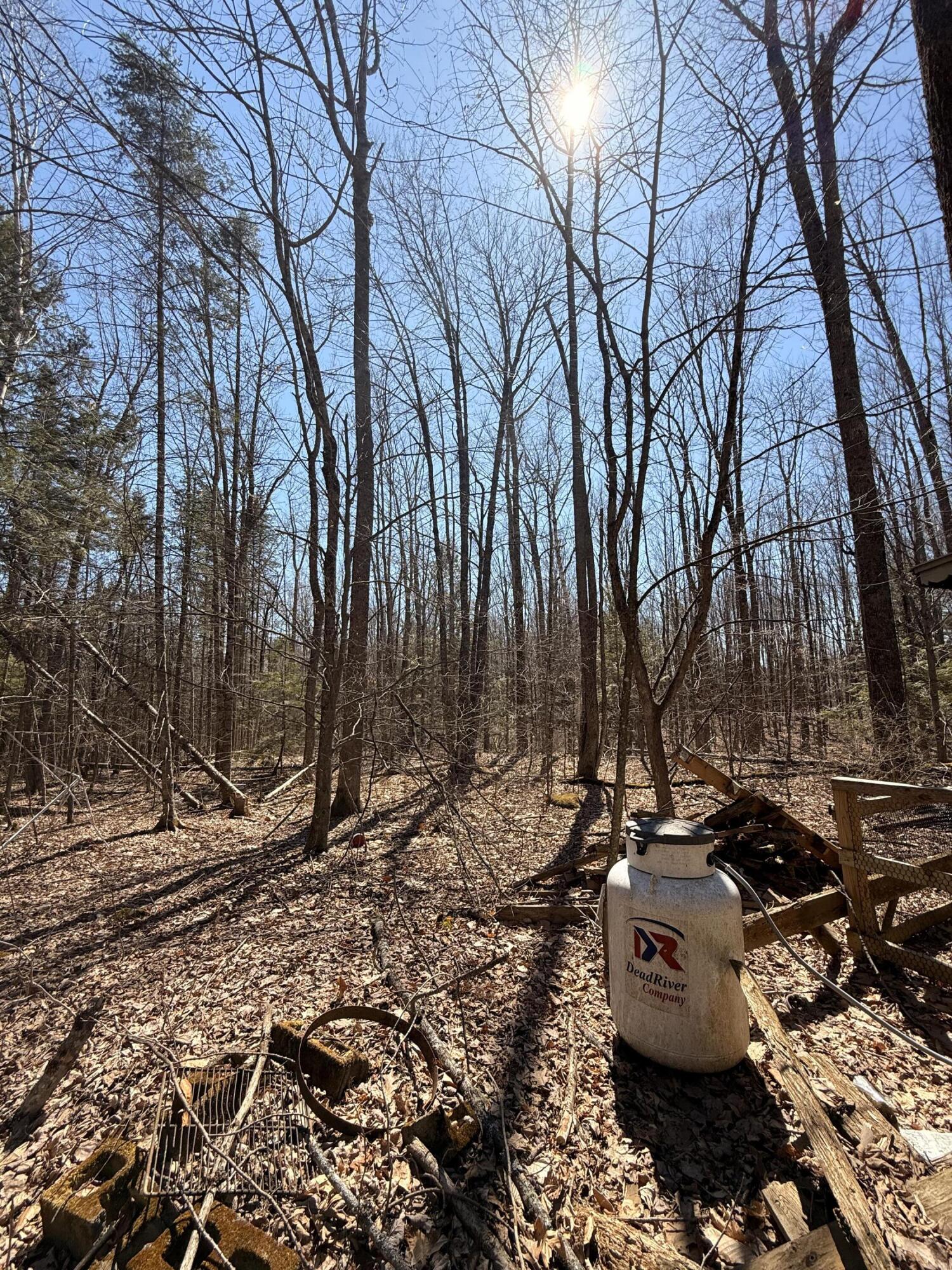 186 Transalpine Road Lincoln ME 04457