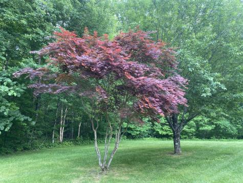 101 Robin Lane Unity ME 04988