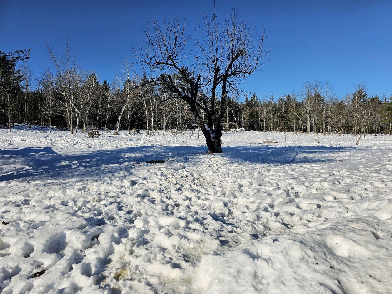 23 Matthew Drive Canaan ME 04924