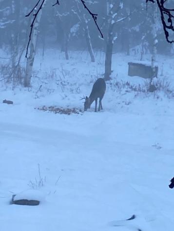 23 Matthew Drive Canaan ME 04924