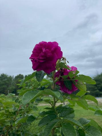 23 Matthew Drive Canaan ME 04924