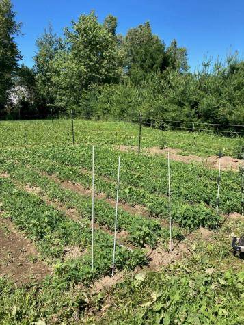 23 Matthew Drive Canaan ME 04924