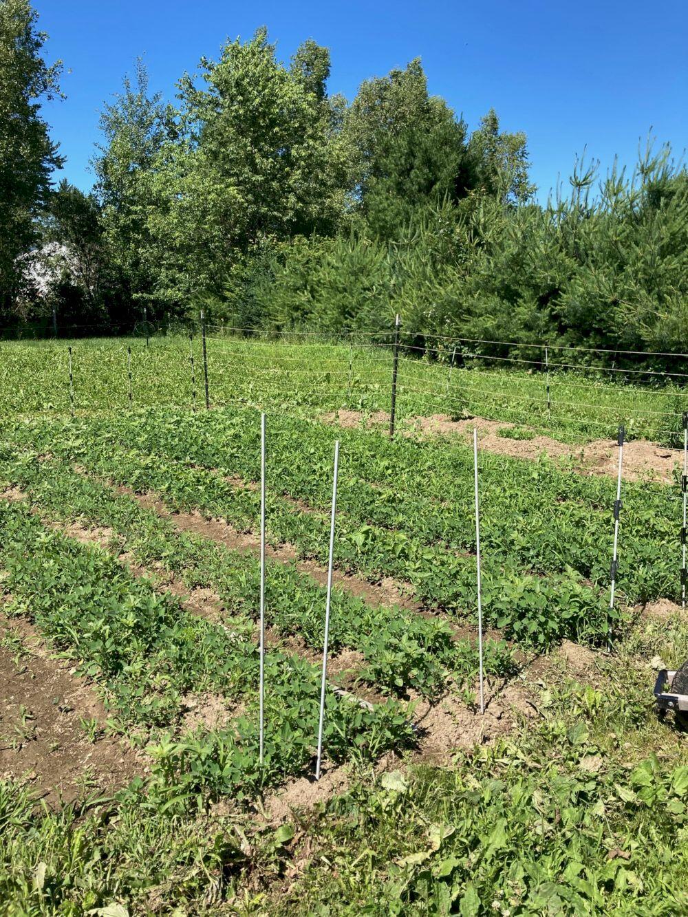 23 Matthew Drive Canaan ME 04924