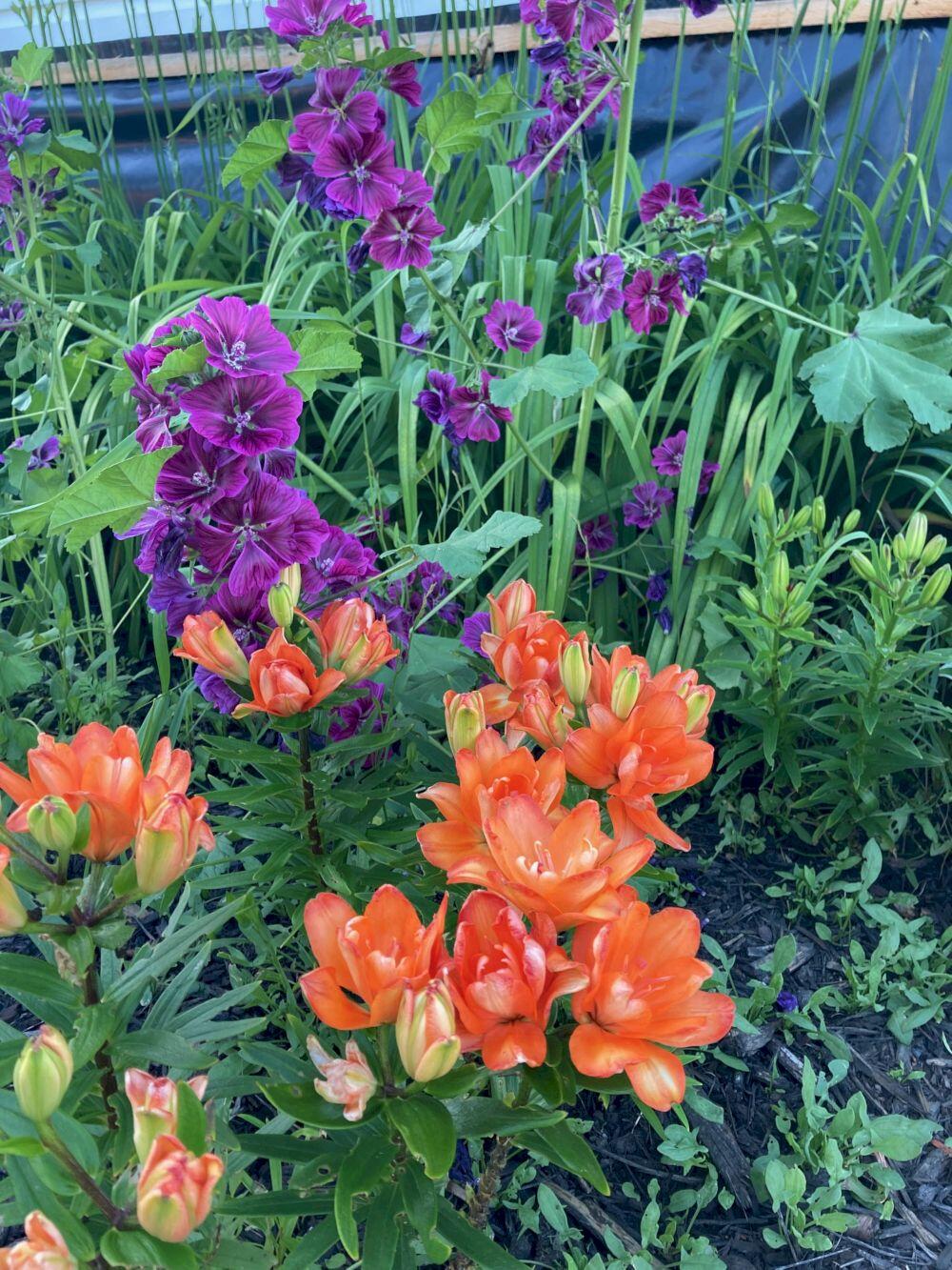 23 Matthew Drive Canaan ME 04924