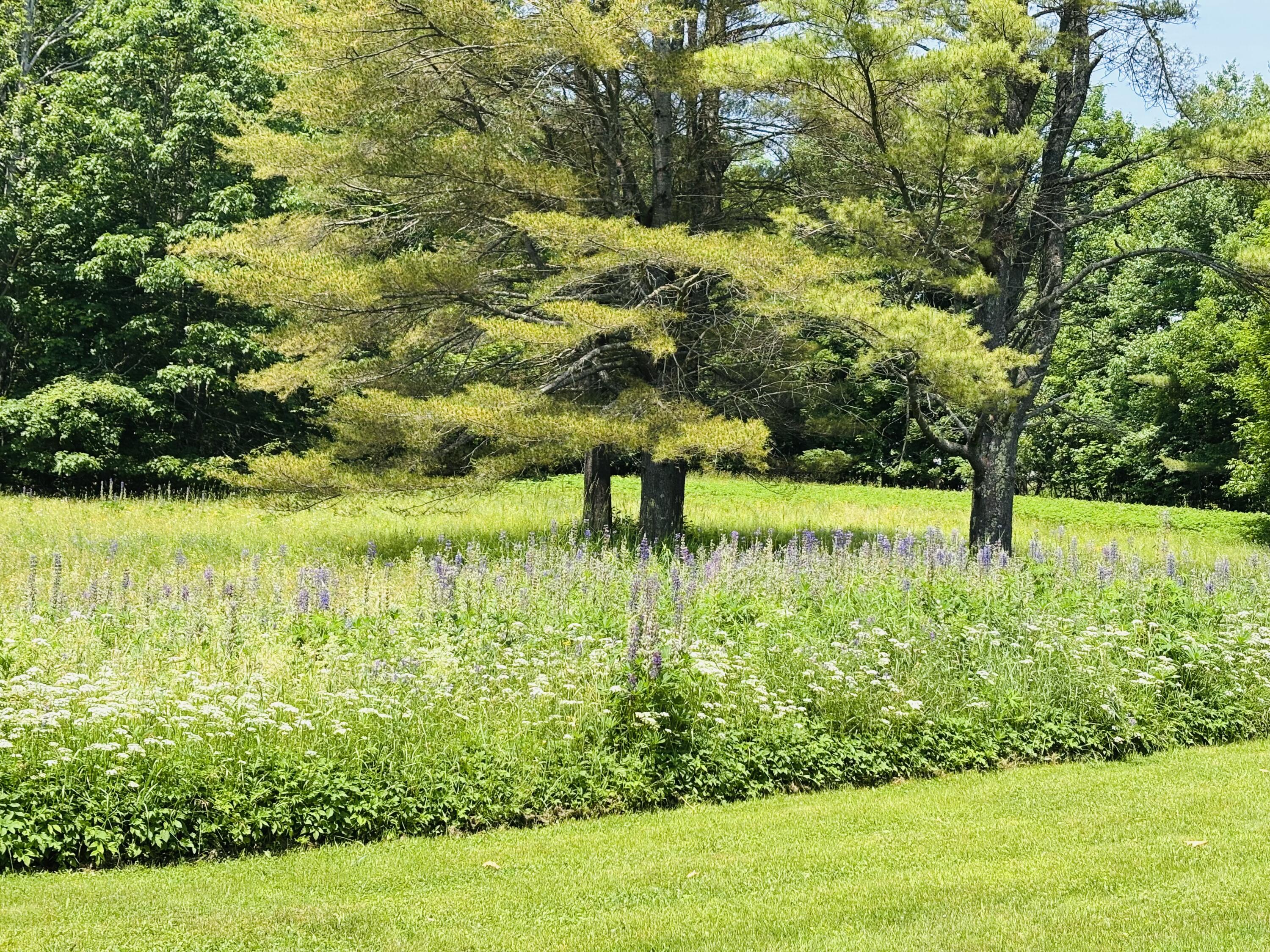 63 Pleasant Street Hampden ME 04444