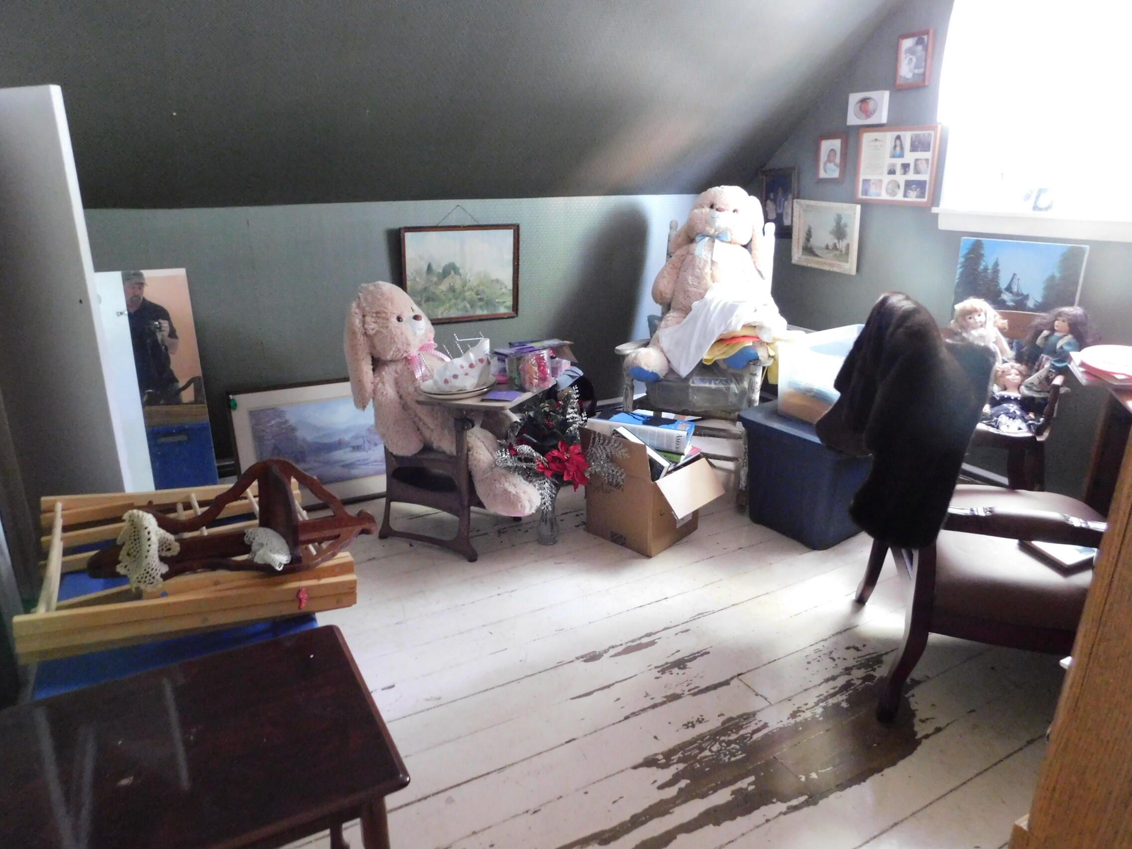 9 Collins Street Bingham ME 04920