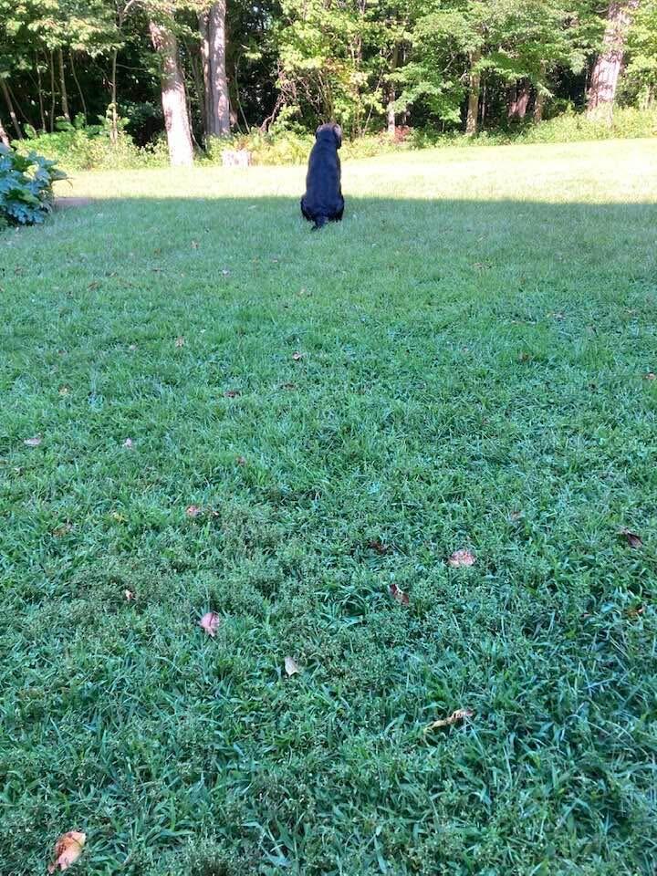 160 Fairway Drive Auburn ME 04210