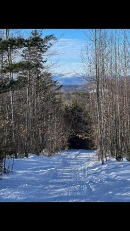 48 Birch Road Greenwood ME 04255