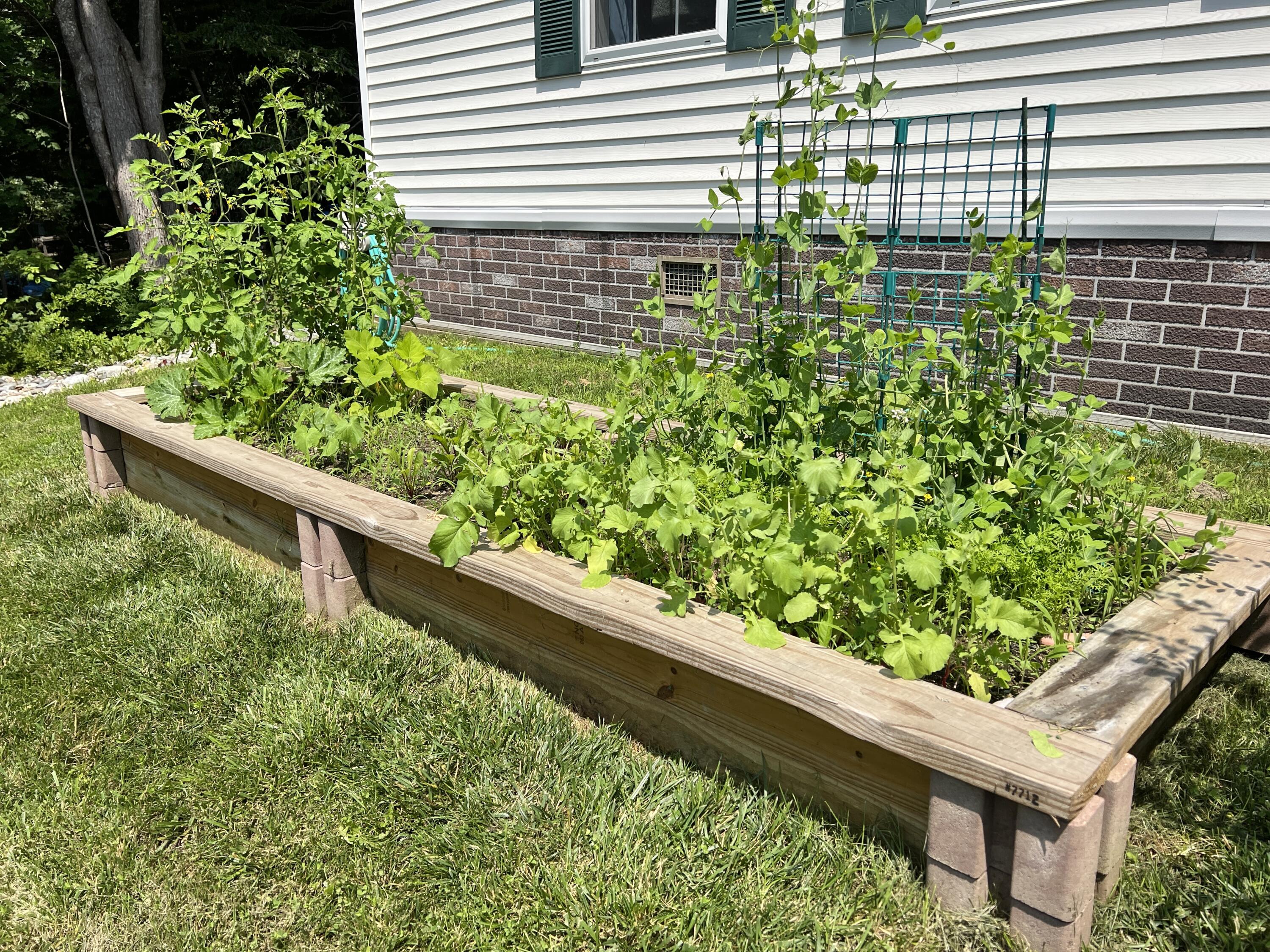 6 Mount Olive Heights Bucksport ME 04416