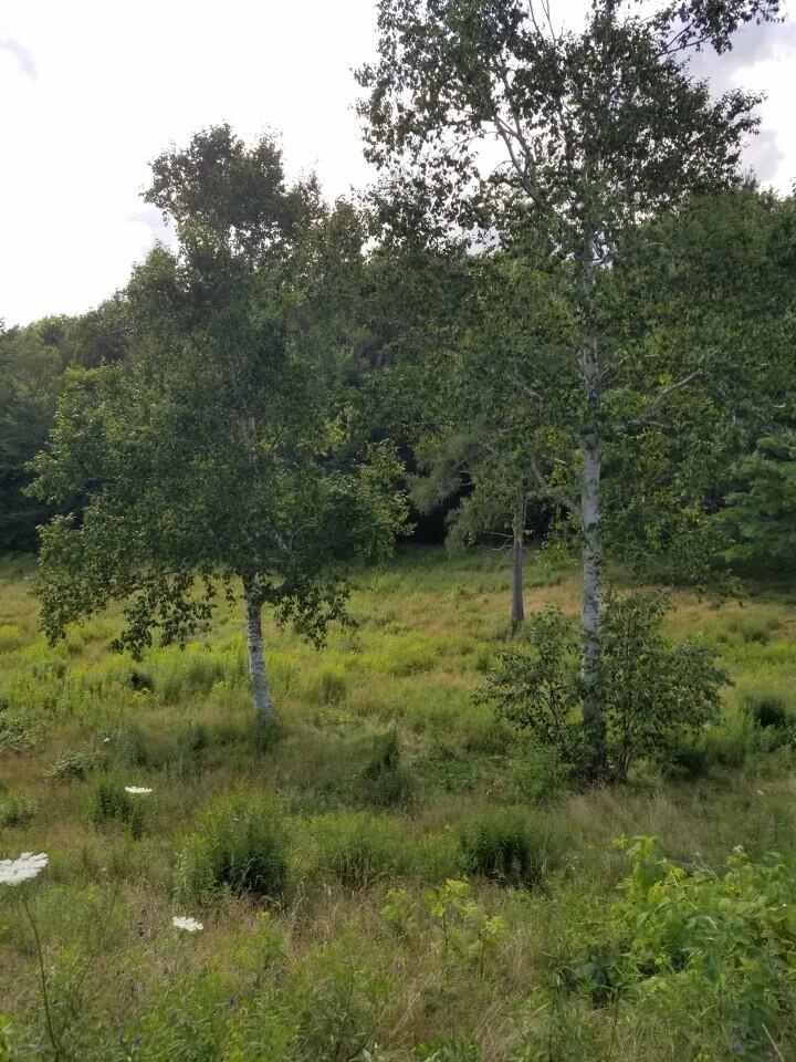 132 Old County Road Edgecomb ME 04556