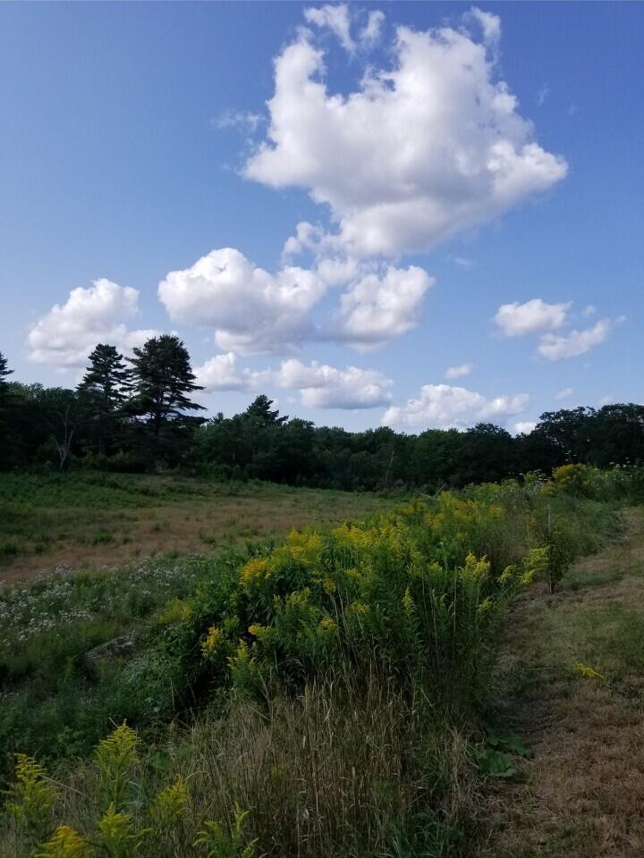 132 Old County Road Edgecomb ME 04556