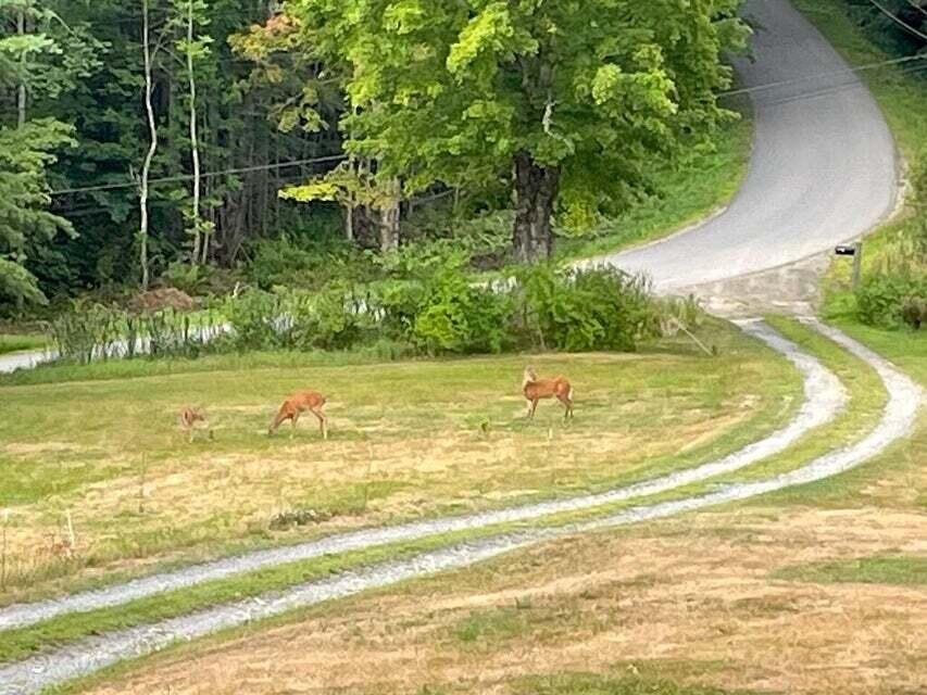 132 Old County Road Edgecomb ME 04556