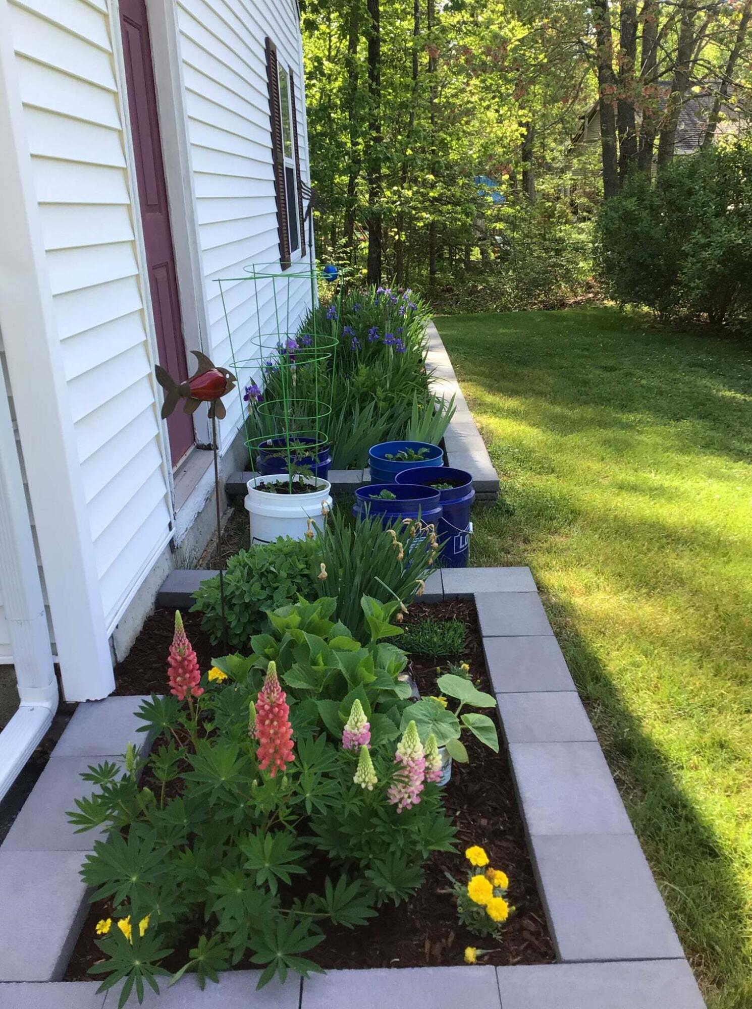 56 Wildwood Drive Brunswick ME 04011